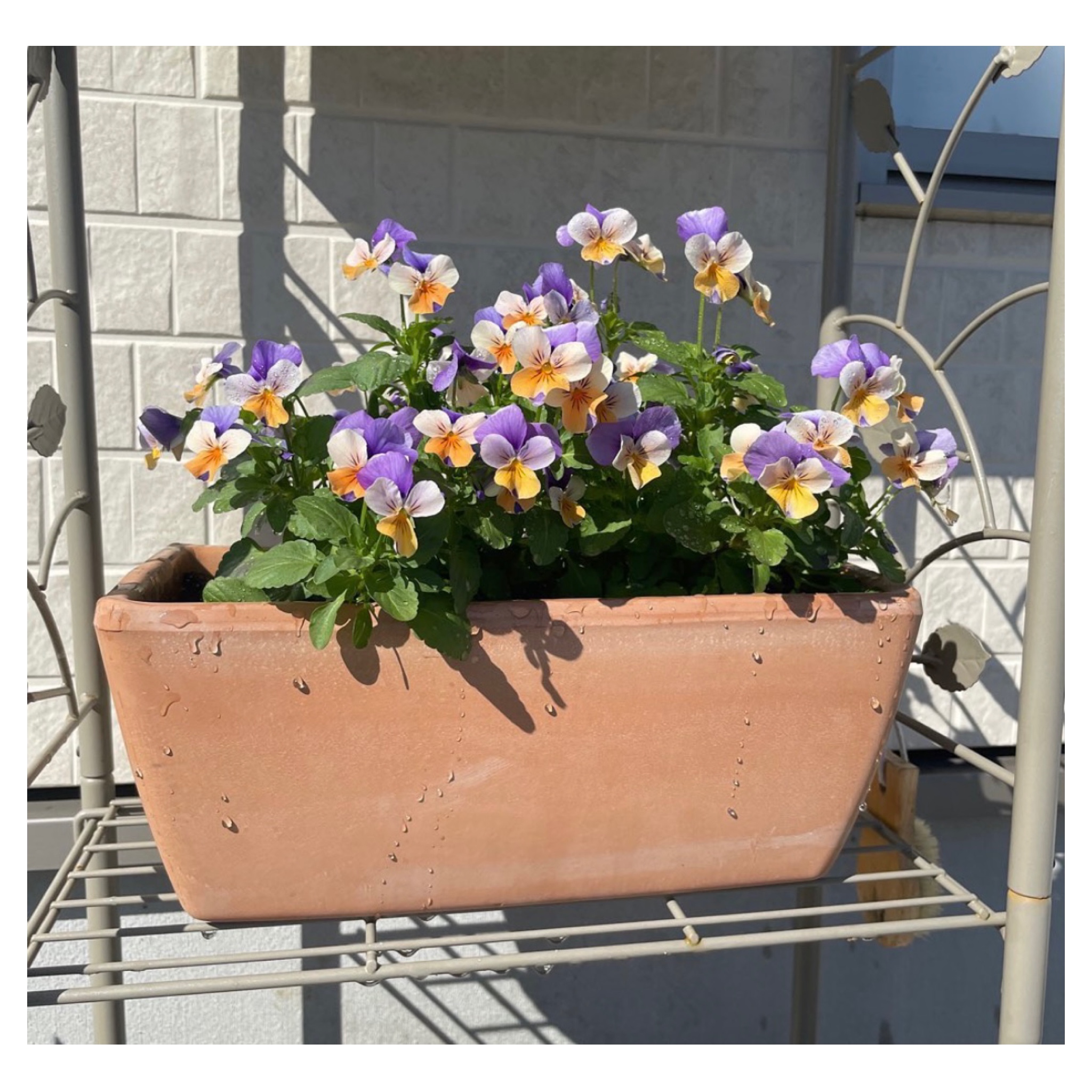 西尾市接骨院の新着画像