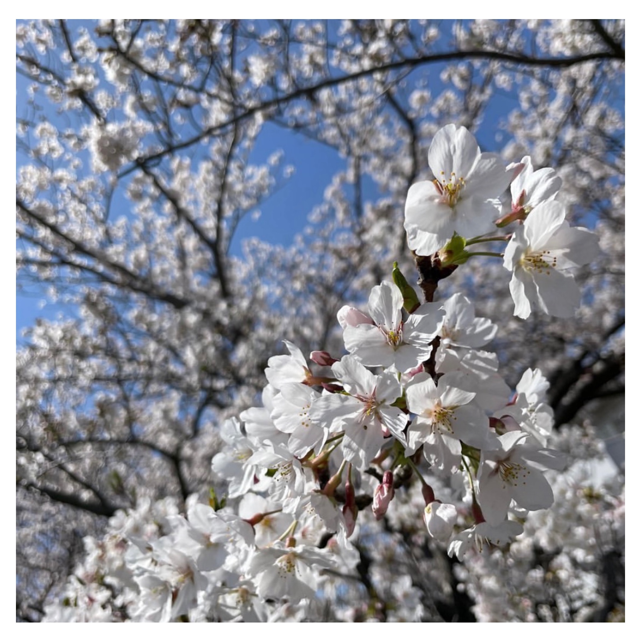 西尾市接骨院の新着画像