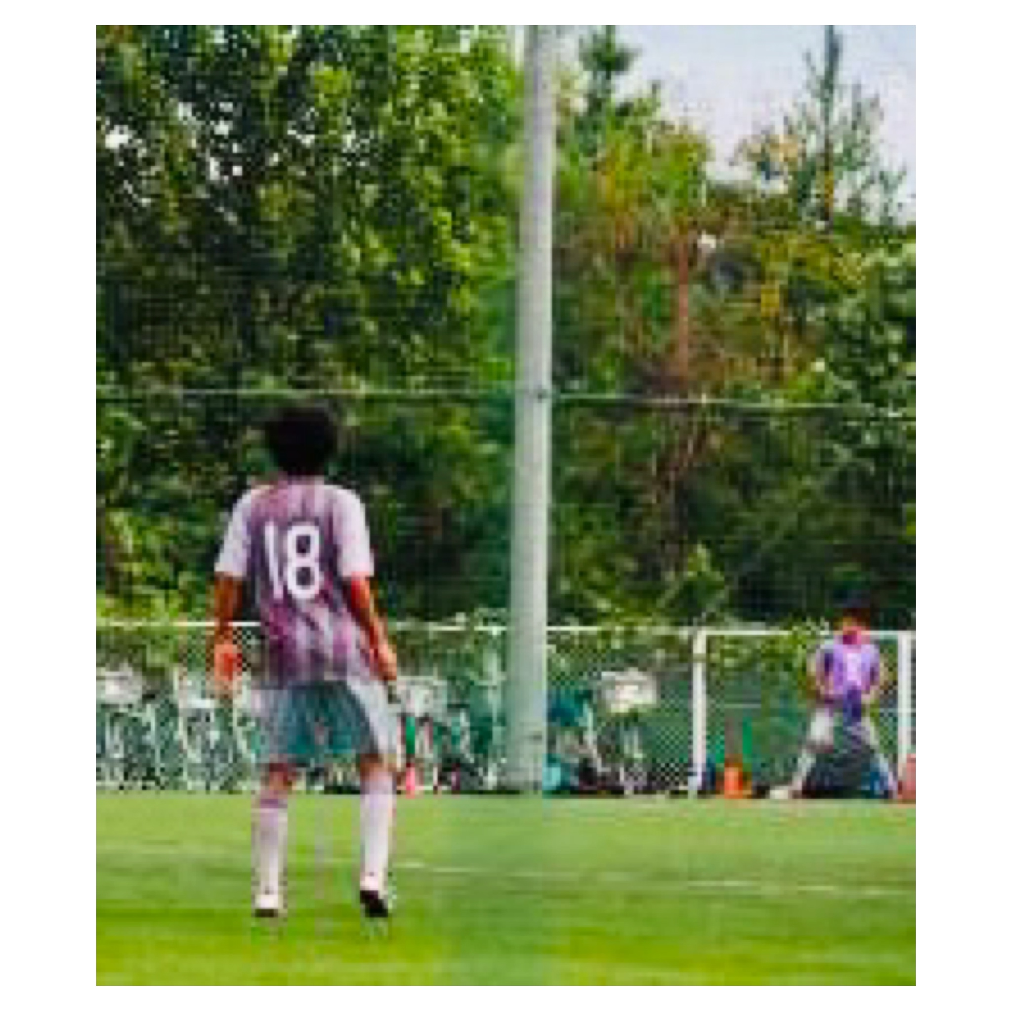 西尾市接骨院の新着画像