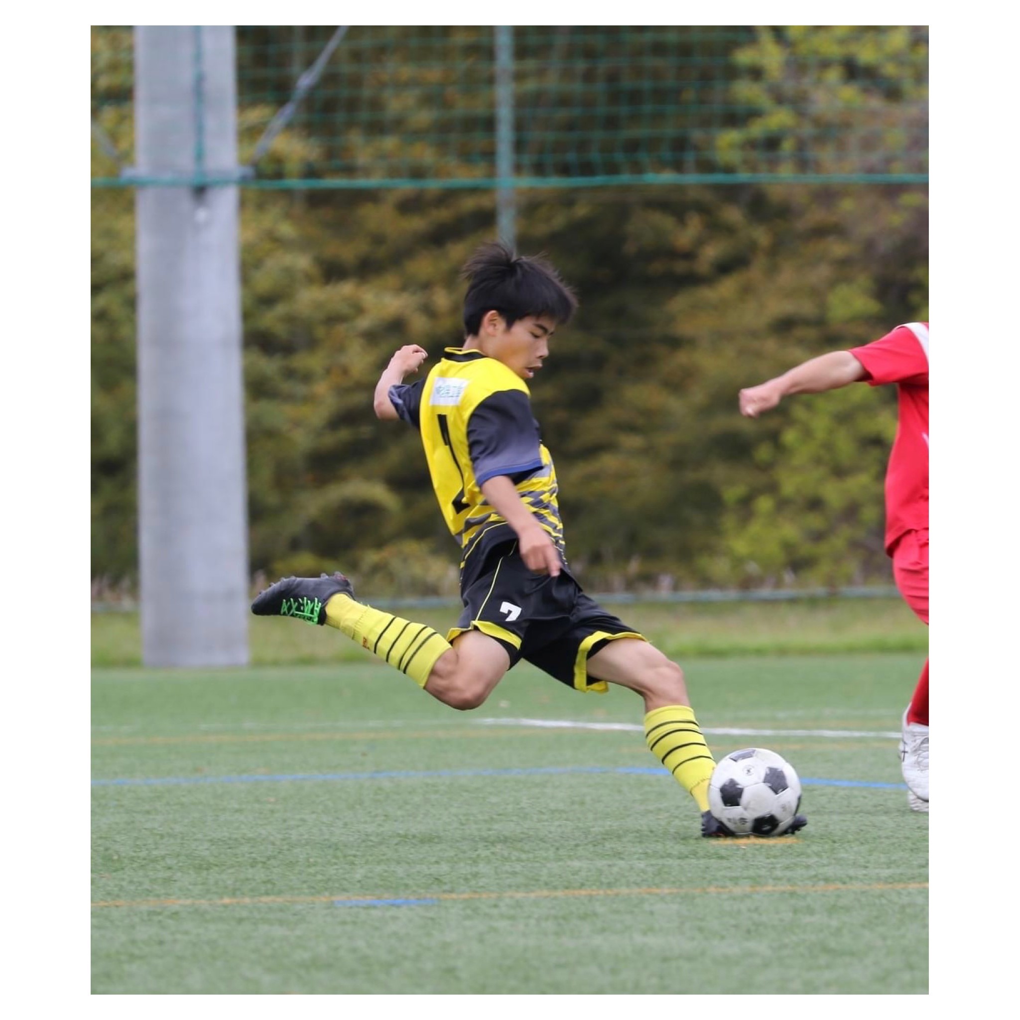 西尾市接骨院の新着画像