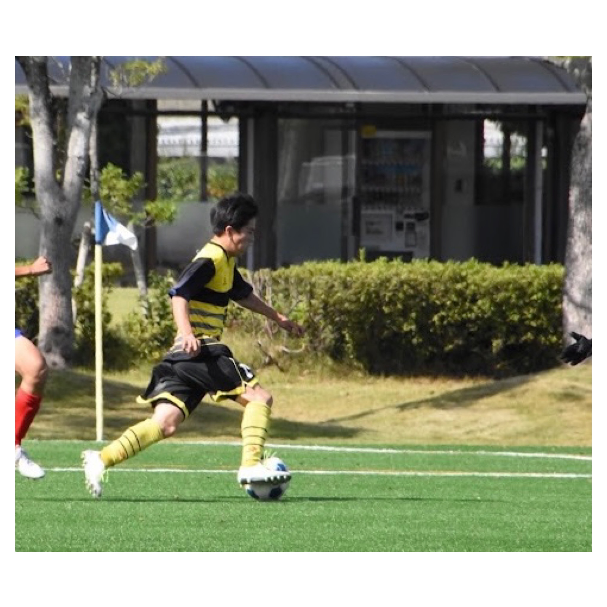 西尾市接骨院の新着画像