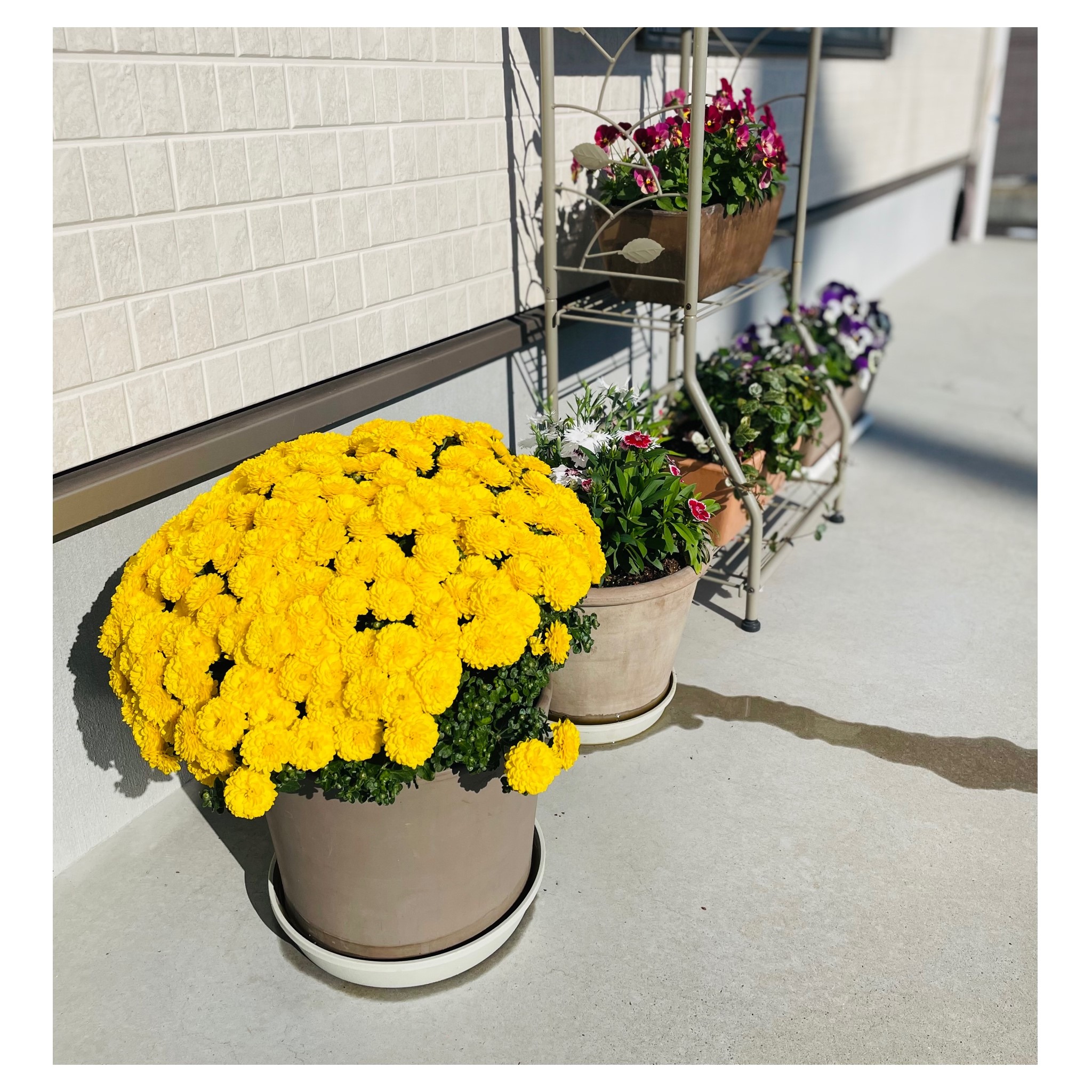 西尾市接骨院の新着画像