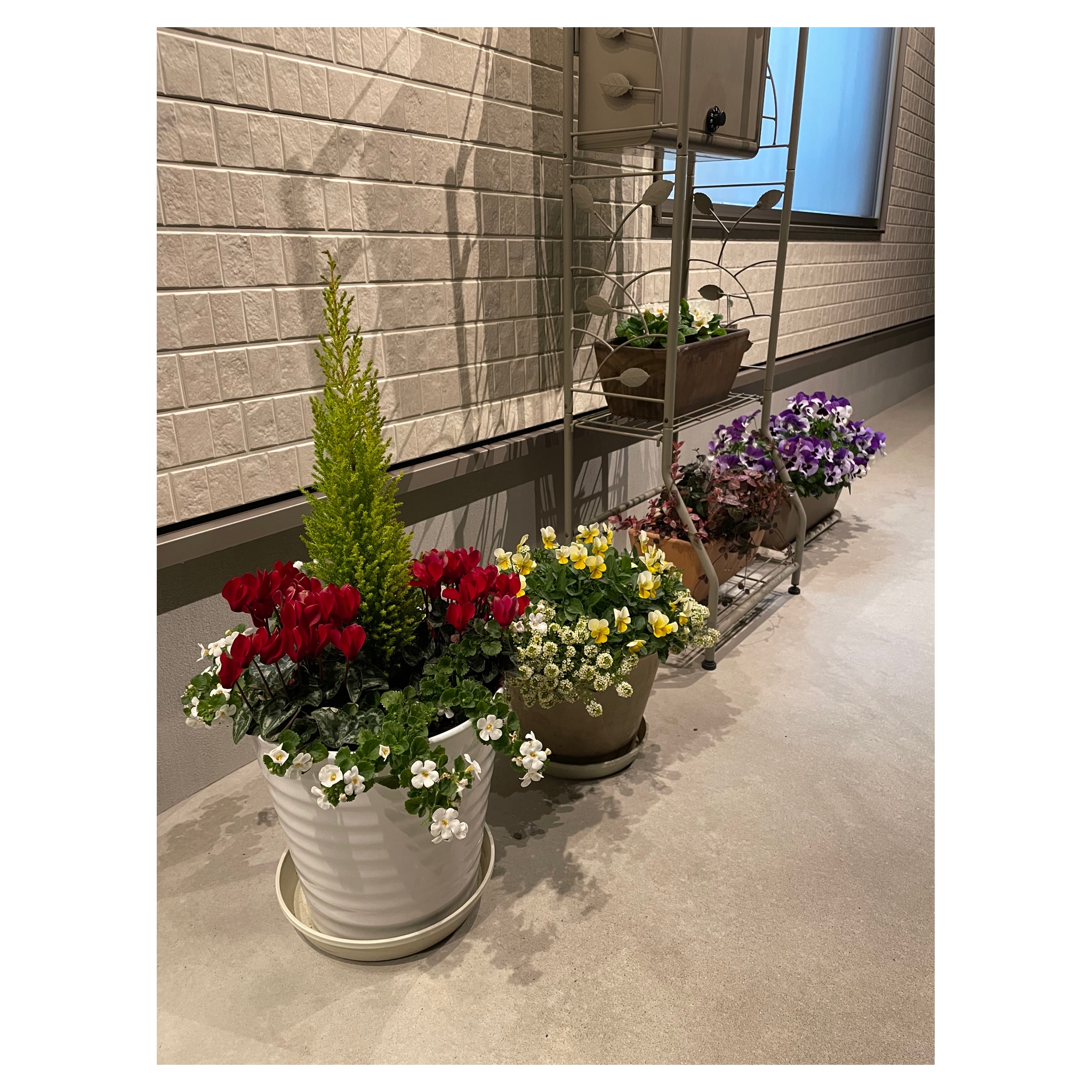 西尾市接骨院の新着画像