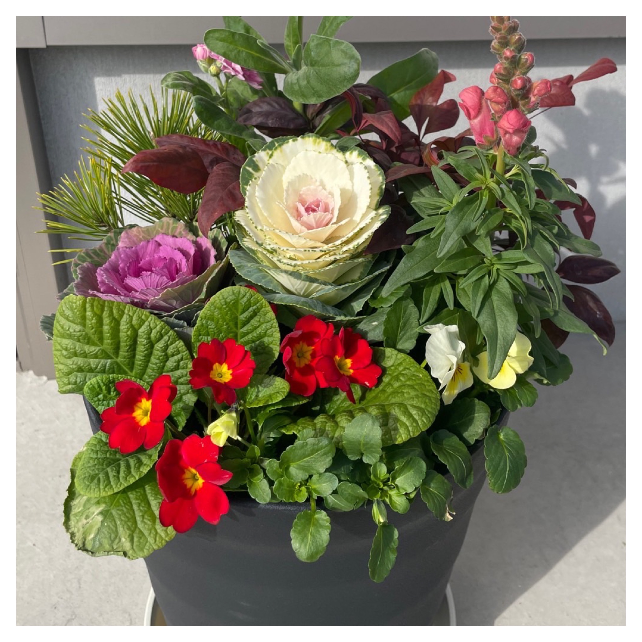 西尾市接骨院の新着画像