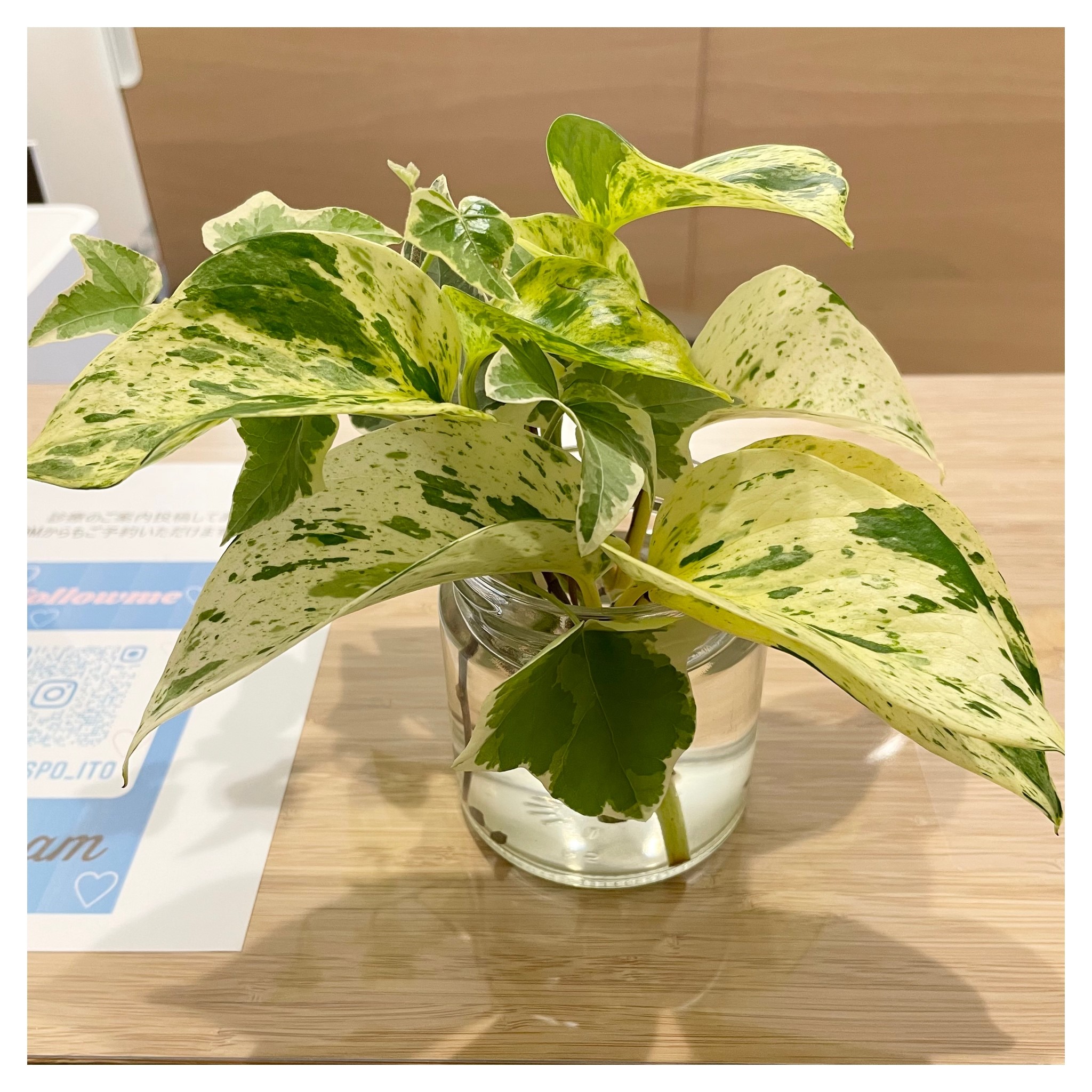 西尾市接骨院の新着画像