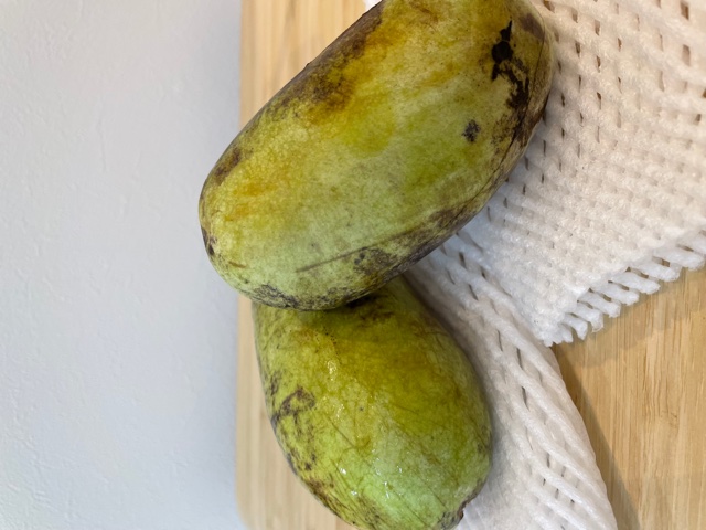 西尾市接骨院の新着画像