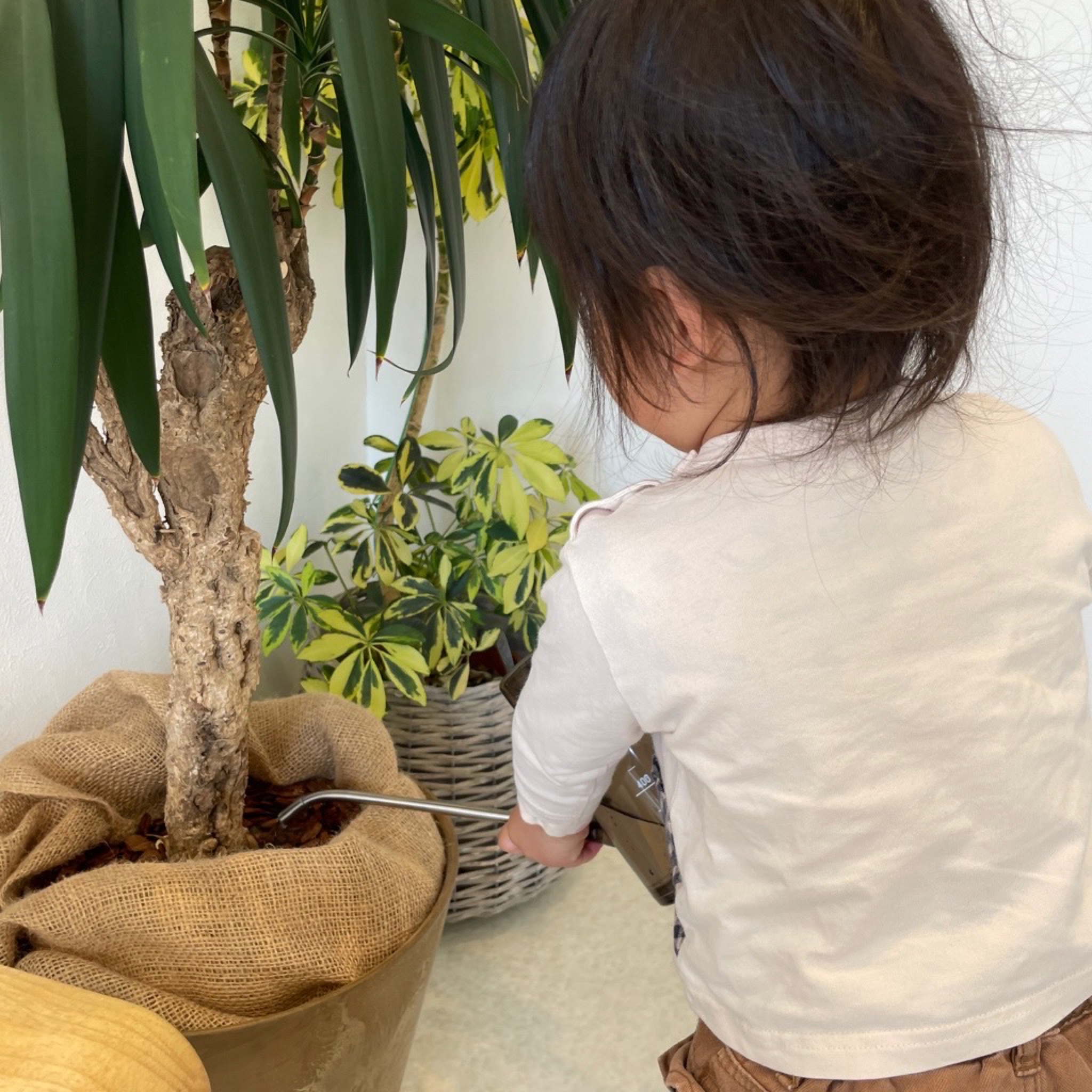 西尾市接骨院の新着画像