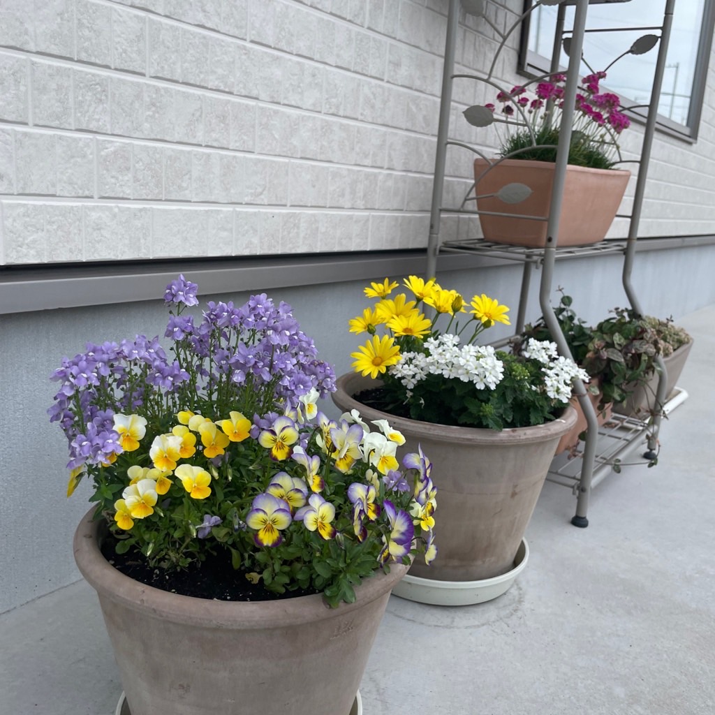 西尾市接骨院の新着画像