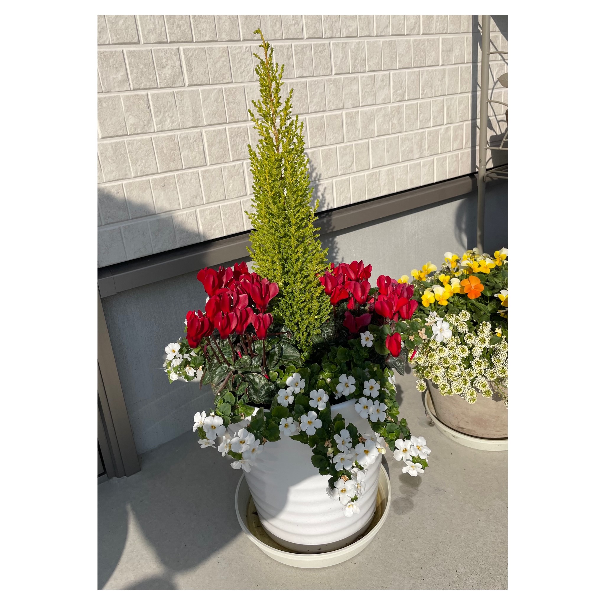 西尾市接骨院の新着画像