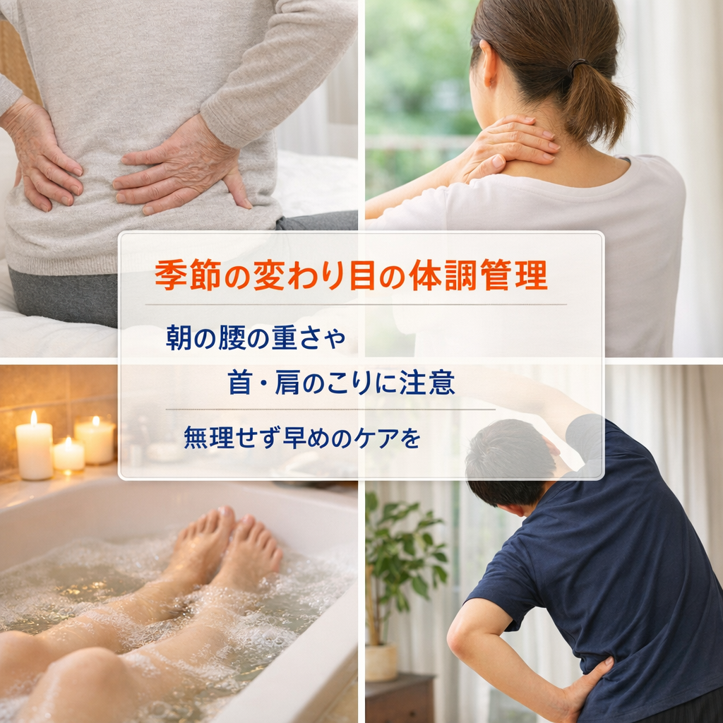 西尾市接骨院の新着画像